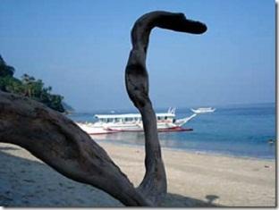 Rem'S Virgin Island Hotel Puerto Galera Buitenkant foto